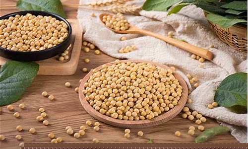 大豆期货案例(大豆期货技术分析报告)_https://www.jianghaiboli.com_原油期货_第1张