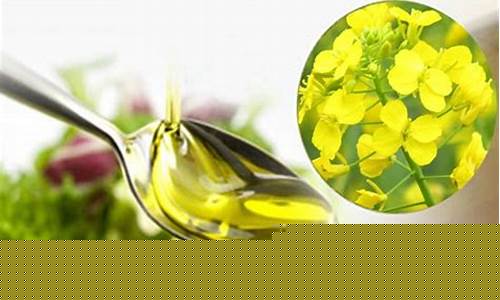 菜油期货介绍(菜油期货行情分析)_https://www.jianghaiboli.com_外盘期货_第1张