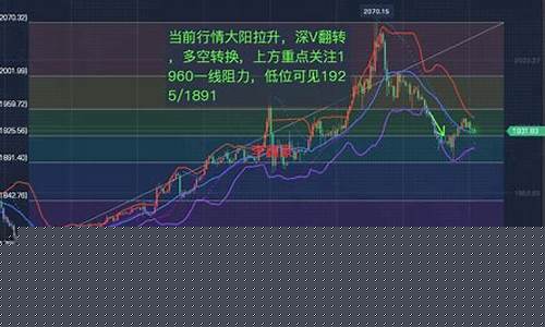 期货重要行情分析报告(鸡蛋期货分析报告)_https://www.jianghaiboli.com_黄金期货_第1张