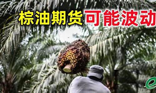 棕油期货行情价格(棕油期货讨论吧)_https://www.jianghaiboli.com_原油期货_第1张