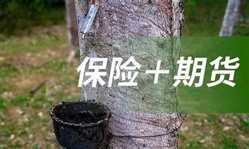 海南1705橡胶期货行情(海南橡胶期货今日价格)_https://www.jianghaiboli.com_期货_第1张