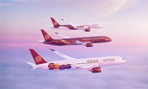 哪个航空公司飞机最好(哪个航空公司的飞机最安全)_https://www.jianghaiboli.com_黄金期货_第1张