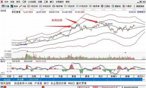 股票创新高后一般会怎么走(2024未来可能涨100倍的股票)_https://www.jianghaiboli.com_恒指期货_第1张