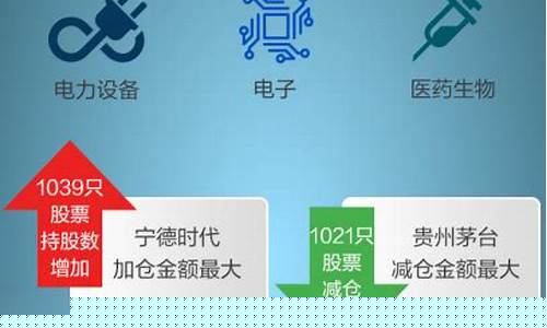 159920十大重仓股(515030十大重仓股)_https://www.jianghaiboli.com_黄金期货_第1张