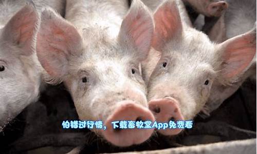 猪瘟期货会大涨吗(价格会怎么变化)_https://www.jianghaiboli.com_外盘期货_第1张