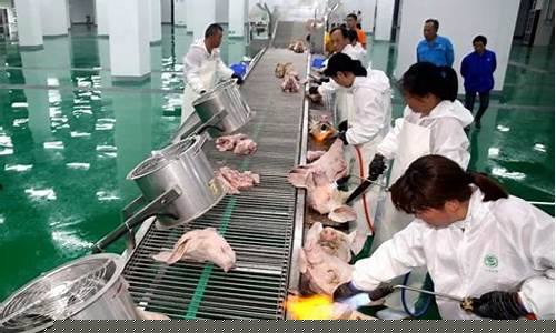 猪肉生产企业上市公司(最大的猪肉上市公司)_https://www.jianghaiboli.com_外盘期货_第1张