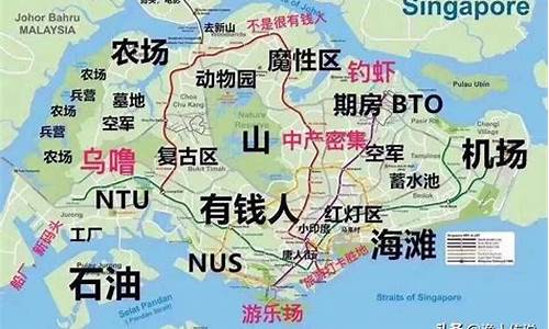 新加坡的经济以什么为主(新加坡的经济以什么为主)_https://www.jianghaiboli.com_外盘期货_第1张
