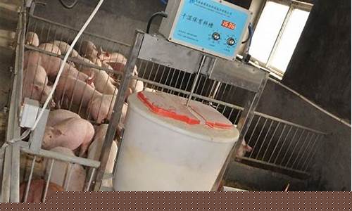 猪场自动喂料系统(猪场自动喂料系统接线图片)_https://www.jianghaiboli.com_期货_第1张