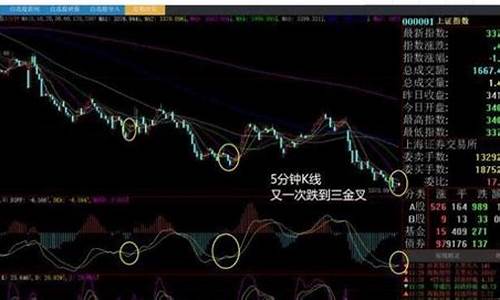 股票中什么是白马股(股票里什么叫白马股)_https://www.jianghaiboli.com_期货_第1张