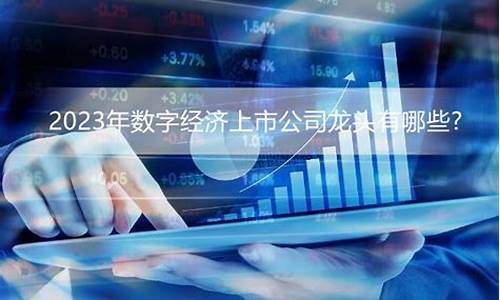 数字经济龙头上市公司(数字经济 龙头)_https://www.jianghaiboli.com_原油期货_第1张