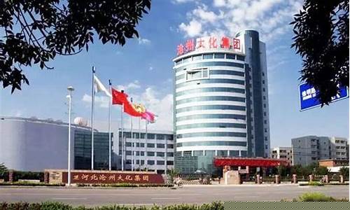 沧州大化是市属国企嘛(沧州大化是市属国企嘛)_https://www.jianghaiboli.com_期货_第1张