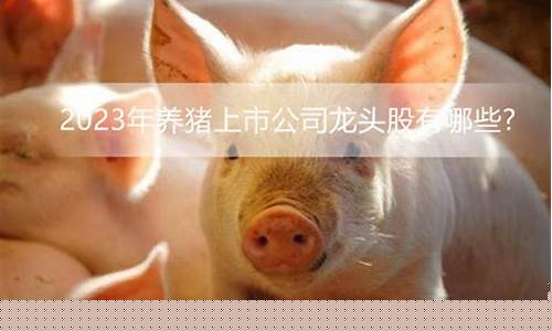 15家养猪上市企业哪家强(15家养猪上市企业哪家强些)_https://www.jianghaiboli.com_黄金期货_第1张