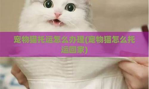 怎么托运宠物猫(家猫怎么托运)_https://www.jianghaiboli.com_期货_第1张