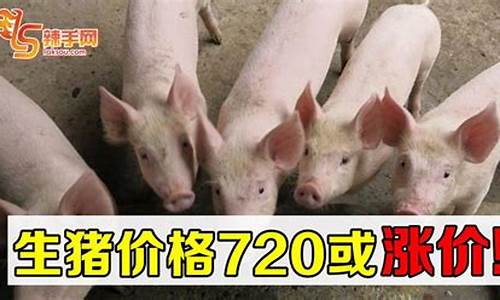 生猪价格涨价(生猪价格还会涨价吗)_https://www.jianghaiboli.com_黄金期货_第1张