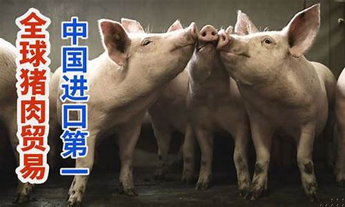 猪肉期货实况视频直播下载(猪肉期货实况视频直播下载安装)_https://www.jianghaiboli.com_黄金期货_第1张