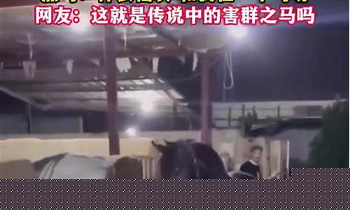 最新黑马财经直播(黑马读财经专栏)_https://www.jianghaiboli.com_恒指期货_第1张