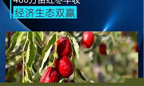 红枣期货交易视频直播回放(红枣期货行情分析)_https://www.jianghaiboli.com_期货_第1张
