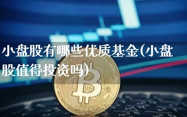 小盘股有哪些优质基金(小盘股值得投资吗)_https://www.jianghaiboli.com_黄金期货_第1张
