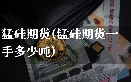 猛硅期货(锰硅期货一手多少吨)_https://www.jianghaiboli.com_原油期货_第1张