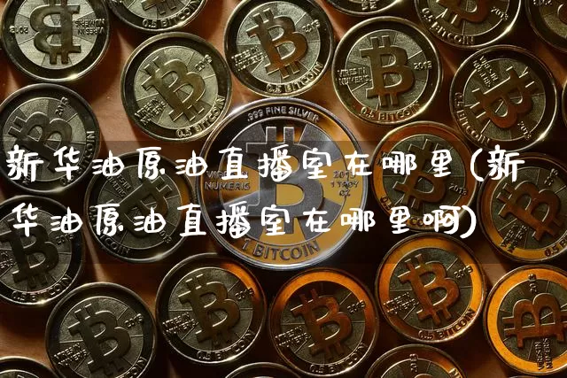 新华油原油直播室在哪里(新华油原油直播室在哪里啊)_https://www.jianghaiboli.com_期货_第1张