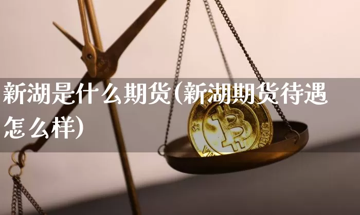 新湖是什么期货(新湖期货待遇怎么样)_https://www.jianghaiboli.com_恒指期货_第1张