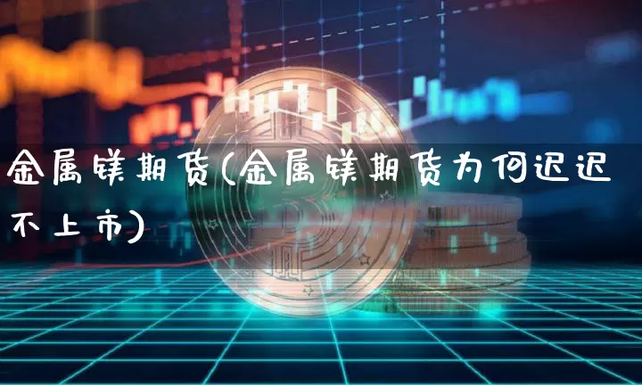 金属镁期货(金属镁期货为何迟迟不上市)_https://www.jianghaiboli.com_外盘期货_第1张