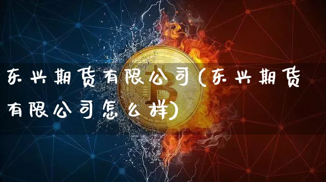 东兴期货有限公司(东兴期货有限公司怎么样)_https://www.jianghaiboli.com_黄金期货_第1张