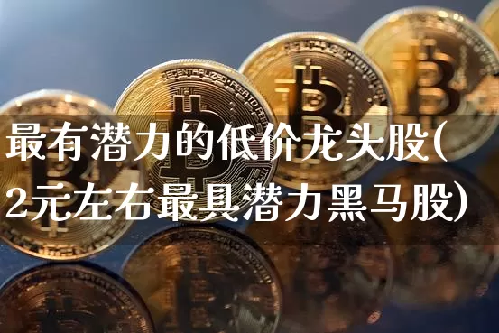 最有潜力的低价龙头股(2元左右最具潜力黑马股)_https://www.jianghaiboli.com_原油期货_第1张