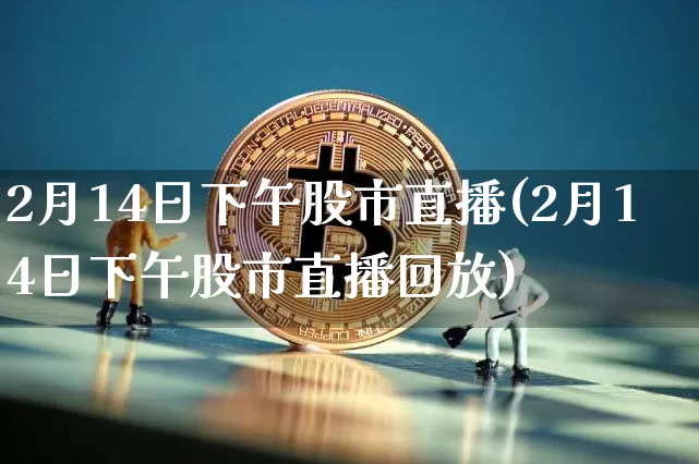 2月14日下午股市直播(2月14日下午股市直播回放)_https://www.jianghaiboli.com_黄金期货_第1张