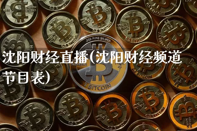 沈阳财经直播(沈阳财经频道节目表)_https://www.jianghaiboli.com_期货_第1张