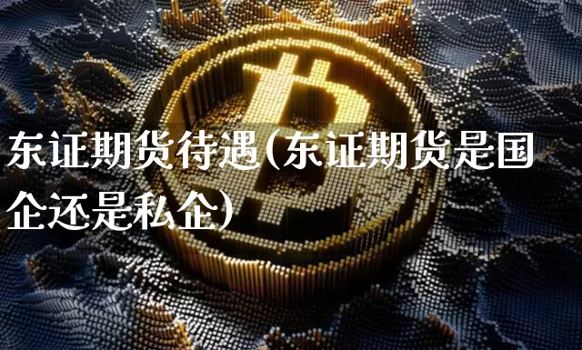 东证期货待遇(东证期货是国企还是私企)_https://www.jianghaiboli.com_黄金期货_第1张