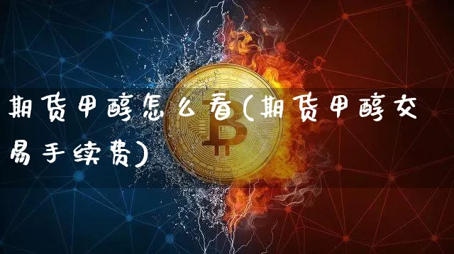 期货甲醇怎么看(期货甲醇交易手续费)_https://www.jianghaiboli.com_原油期货_第1张