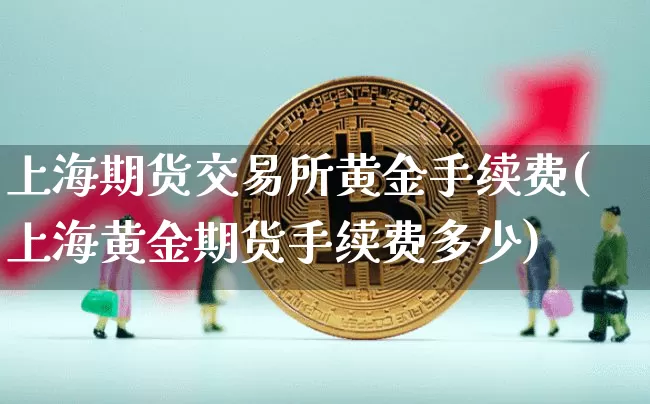 上海期货交易所黄金手续费(上海黄金期货手续费多少)_https://www.jianghaiboli.com_原油期货_第1张