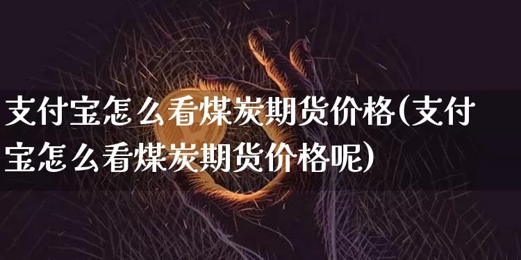 支付宝怎么看煤炭期货价格(支付宝怎么看煤炭期货价格呢)_https://www.jianghaiboli.com_外盘期货_第1张