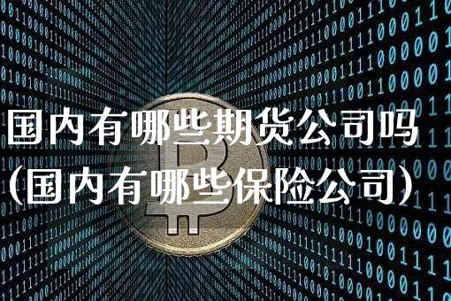国内有哪些期货公司吗(国内有哪些保险公司)_https://www.jianghaiboli.com_原油期货_第1张