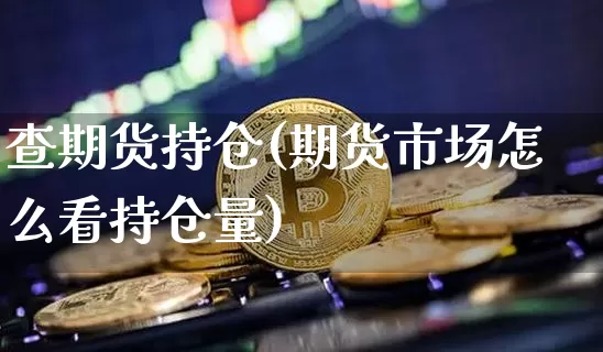 查期货持仓(期货市场怎么看持仓量)_https://www.jianghaiboli.com_恒指期货_第1张