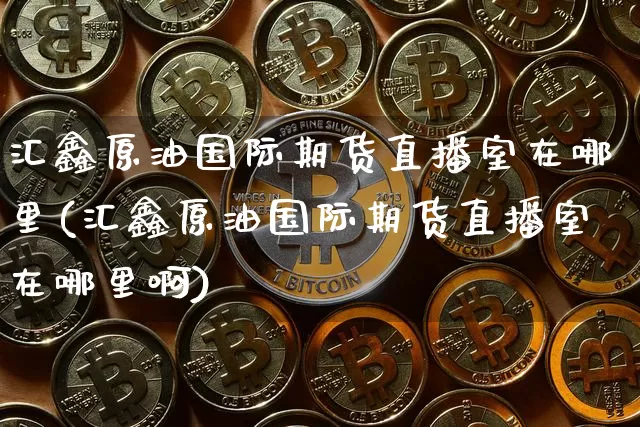 汇鑫原油国际期货直播室在哪里(汇鑫原油国际期货直播室在哪里啊)_https://www.jianghaiboli.com_期货_第1张