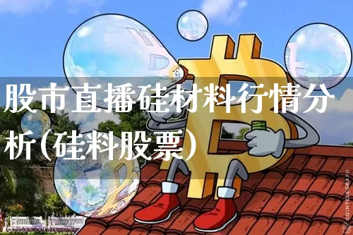 股市直播硅材料行情分析(硅料股票)_https://www.jianghaiboli.com_期货_第1张