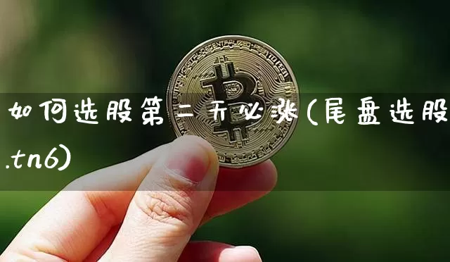 如何选股第二天必涨(尾盘选股王.tn6)_https://www.jianghaiboli.com_期货_第1张