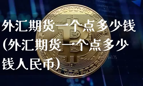 外汇期货一个点多少钱(外汇期货一个点多少钱人民币)_https://www.jianghaiboli.com_原油期货_第1张