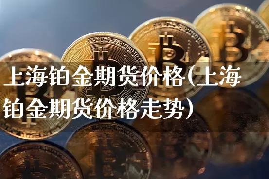 上海铂金期货价格(上海铂金期货价格走势)_https://www.jianghaiboli.com_外盘期货_第1张