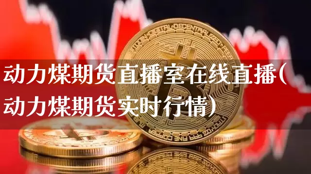 动力煤期货直播室在线直播(动力煤期货实时行情)_https://www.jianghaiboli.com_外盘期货_第1张