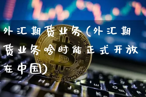 外汇期货业务(外汇期货业务啥时能正式开放在中国)_https://www.jianghaiboli.com_黄金期货_第1张