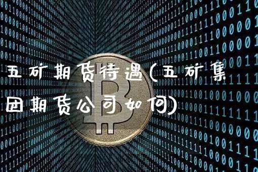 五矿期货待遇(五矿集团期货公司如何)_https://www.jianghaiboli.com_恒指期货_第1张