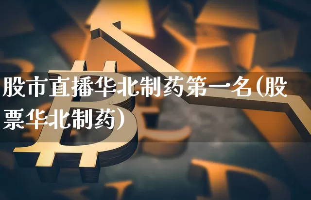 股市直播华北制药第一名(股票华北制药)_https://www.jianghaiboli.com_外盘期货_第1张