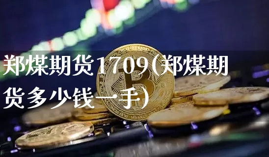 郑煤期货1709(郑煤期货多少钱一手)_https://www.jianghaiboli.com_原油期货_第1张