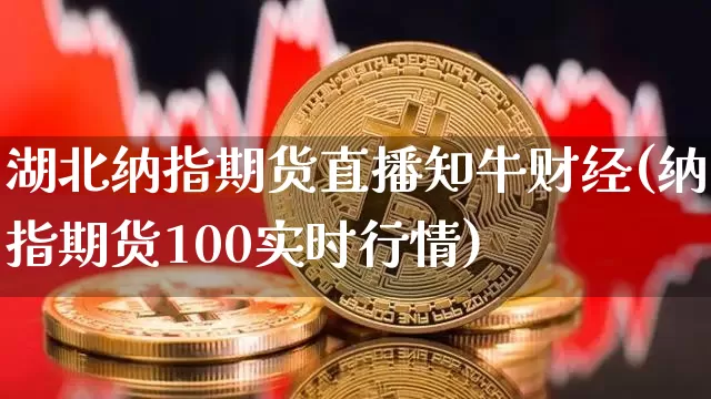 湖北纳指期货直播知牛财经(纳指期货100实时行情)_https://www.jianghaiboli.com_期货_第1张