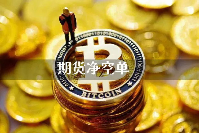 期货净空单_https://www.jianghaiboli.com_恒指期货_第1张