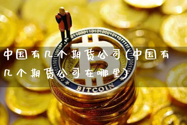 中国有几个期货公司(中国有几个期货公司在哪里)_https://www.jianghaiboli.com_黄金期货_第1张