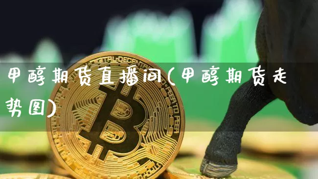 甲醇期货直播间(甲醇期货走势图)_https://www.jianghaiboli.com_黄金期货_第1张
